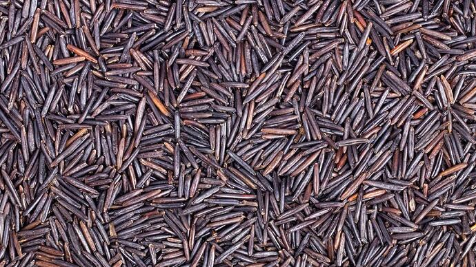 Close up of loose wild rice.