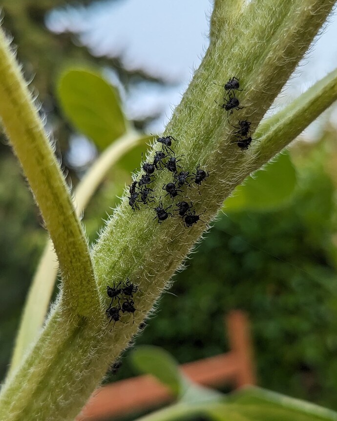 PXL_20230821_195142477