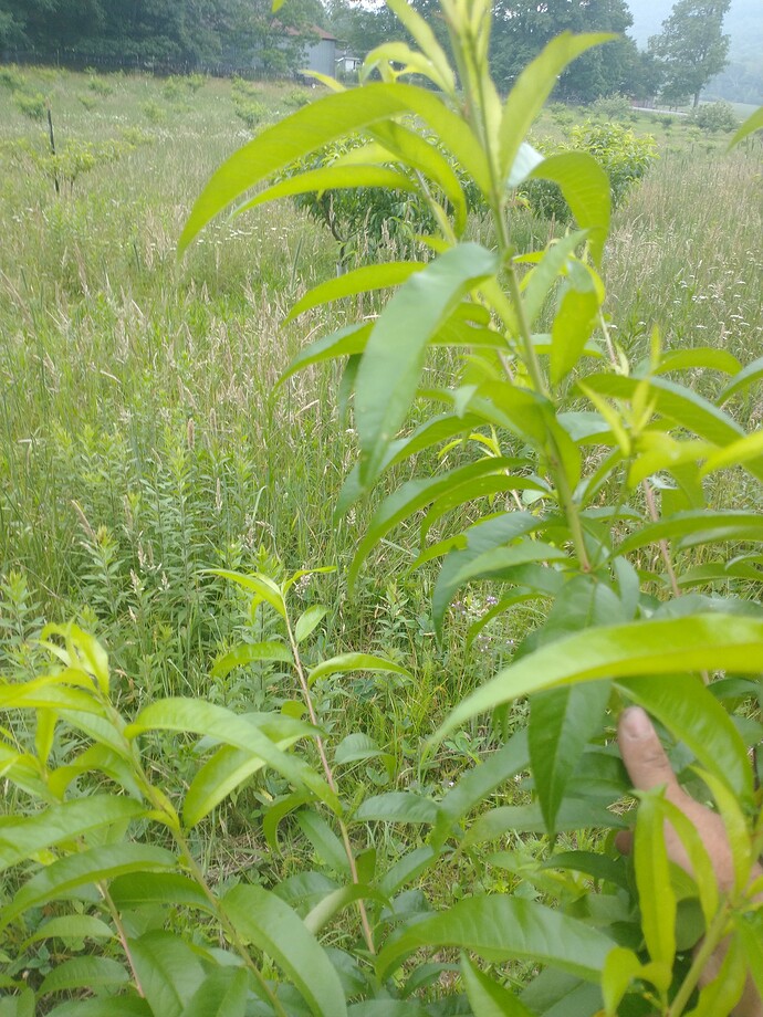 IMG_20230701_143025695