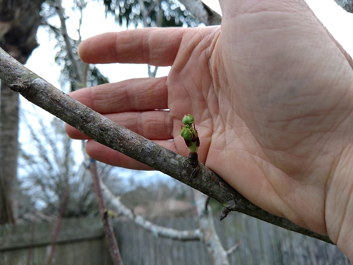 IMG_20180212_172049836