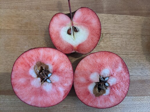 PXL_20211101_181534370