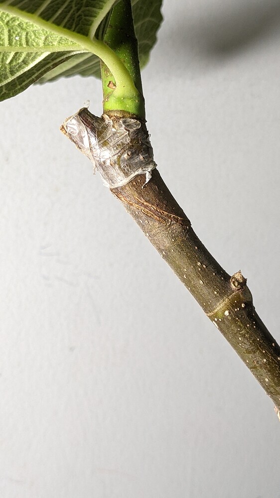 PXL_20220606_160724952