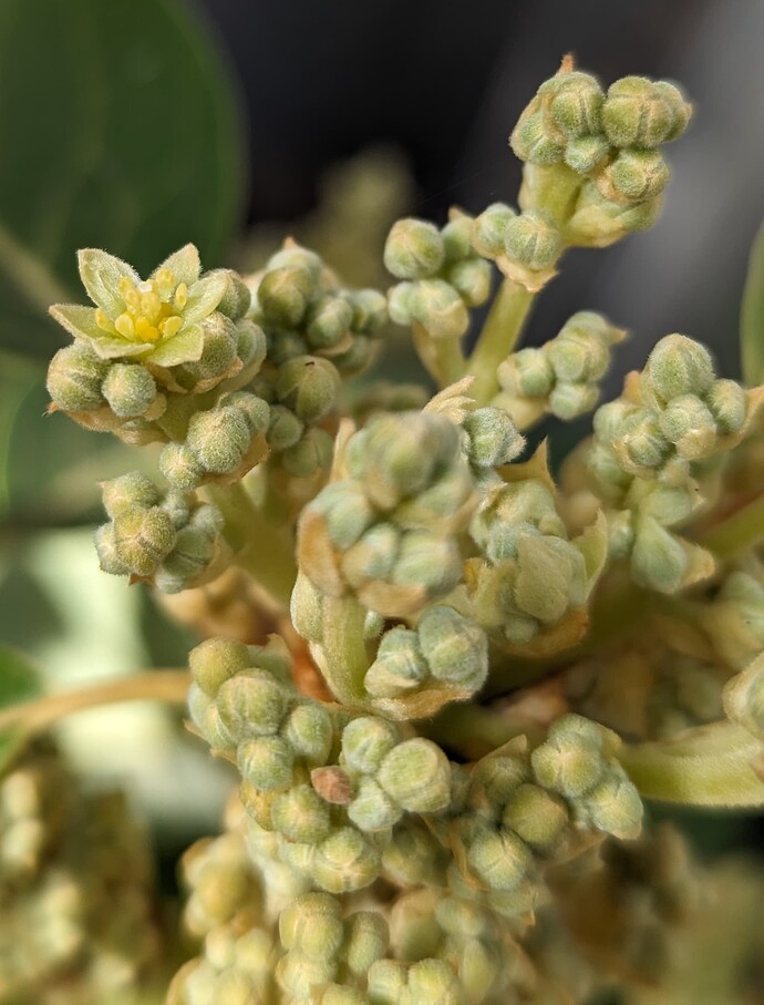 PXL_20240314_195857904