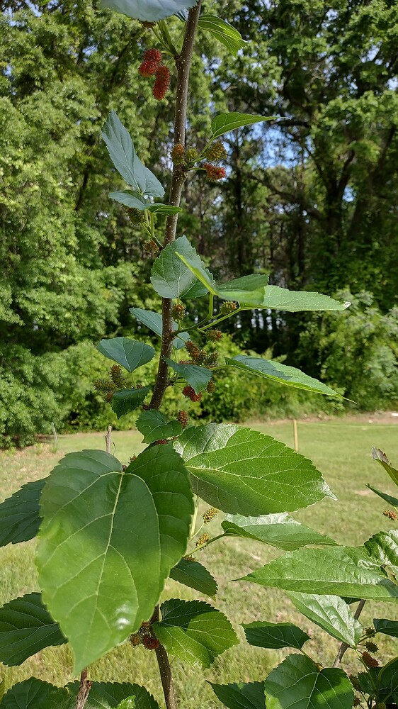IMG_20250420_095033344_HDR