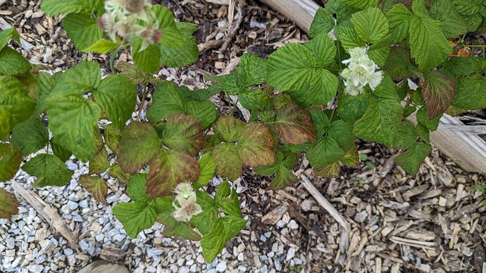 PXL_20240528_210101796