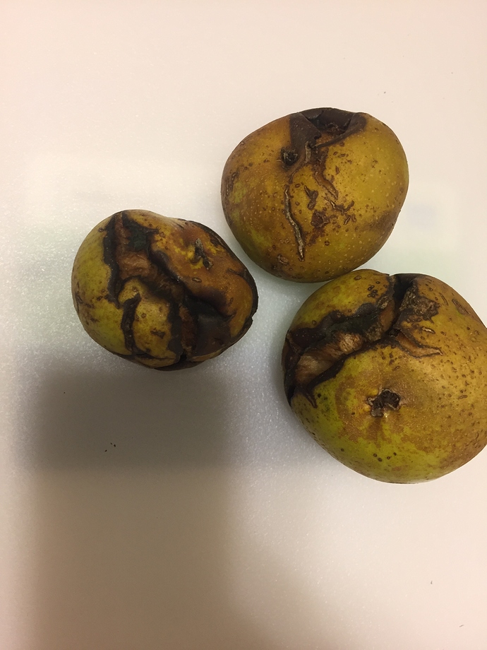 53543B84-7232-4E49-B38D-8A6667654CA4