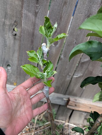 PXL_20250515_201252830