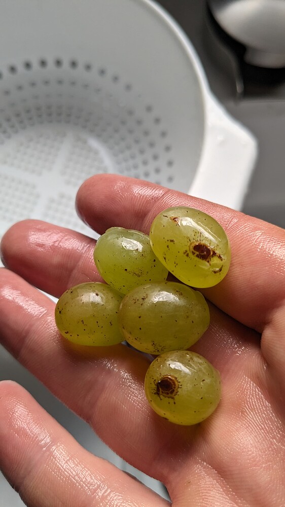 PXL_20230910_212321409