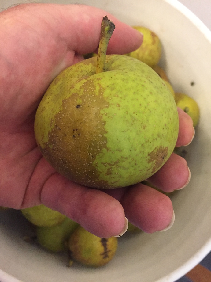 5C94255F-AEB8-4693-BFAF-8813796BA71A