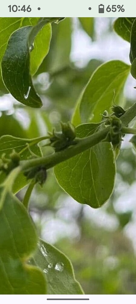 Screenshot_20250411-104644