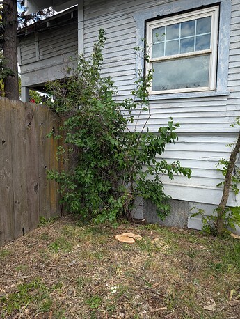 PXL_20250515_204902460