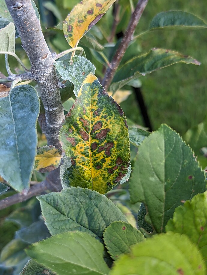 PXL_20230809_232250314