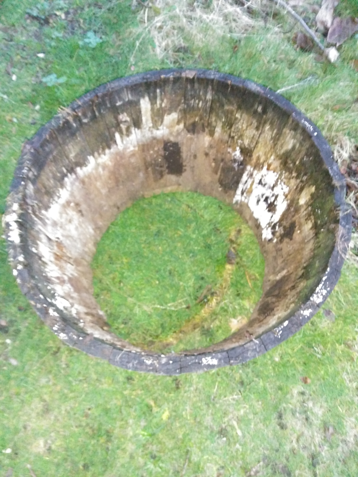 Renewing a Whiskey/Wine Barrel Bottom General Gardening Growing Fruit