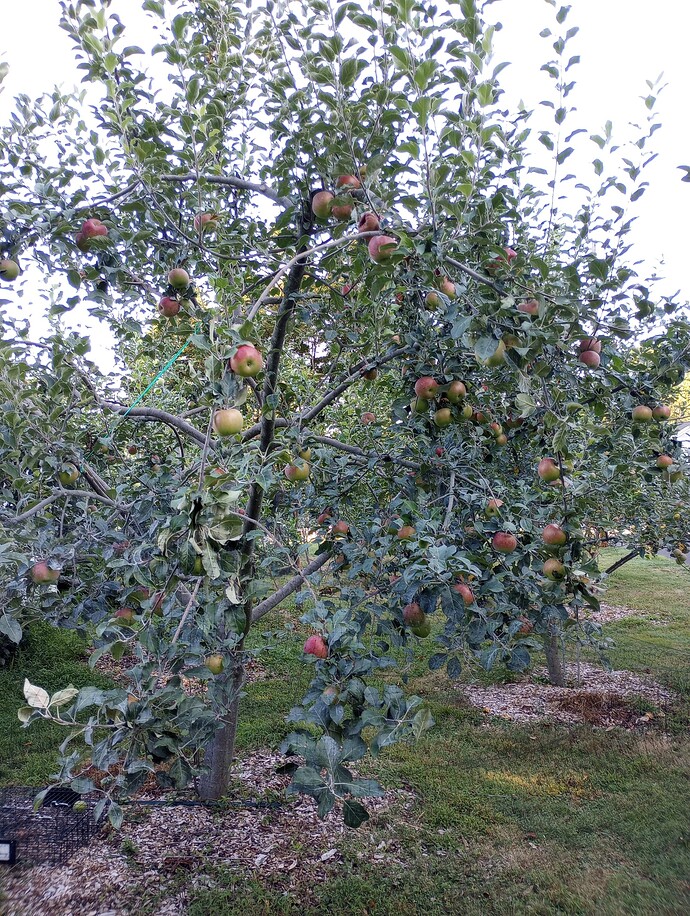 IMG_20220825_075434667