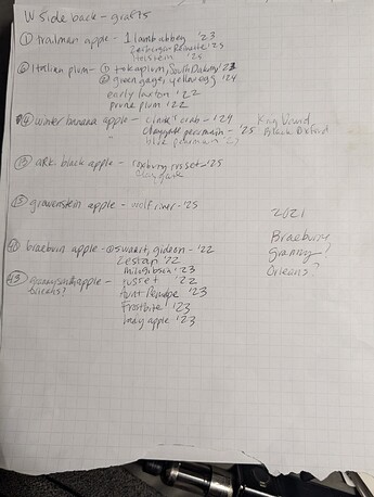 PXL_20250516_185944542