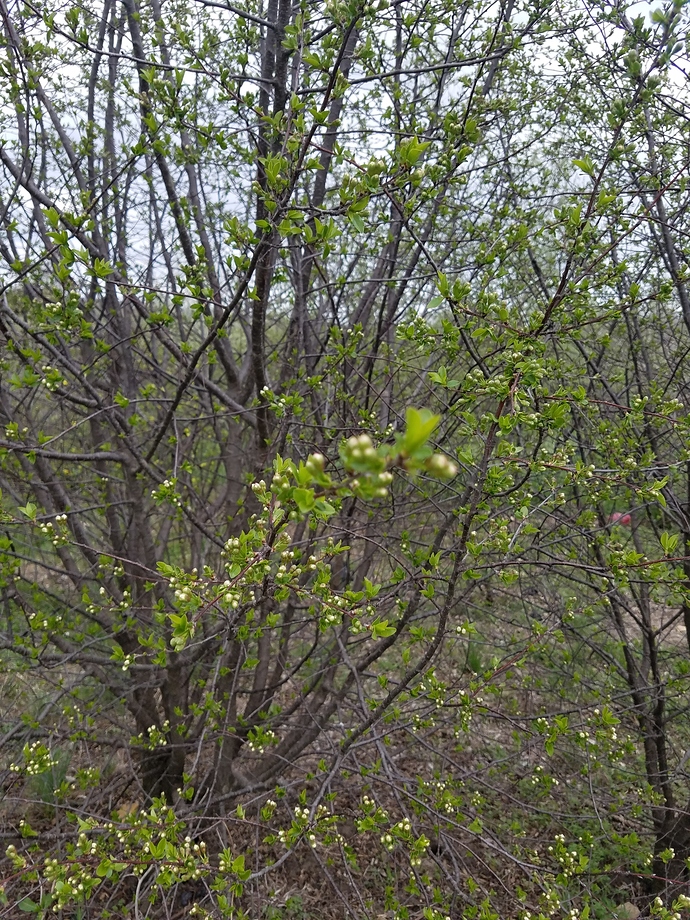 20190411_141207