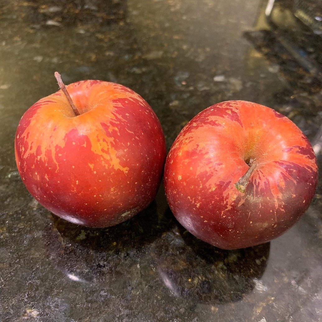 Unusual apples I've found in shops Pictures! Growing Fruit