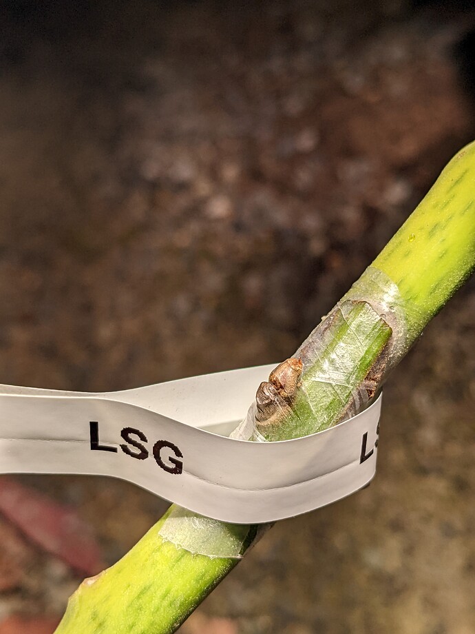 PXL_20220610_034943129.MP