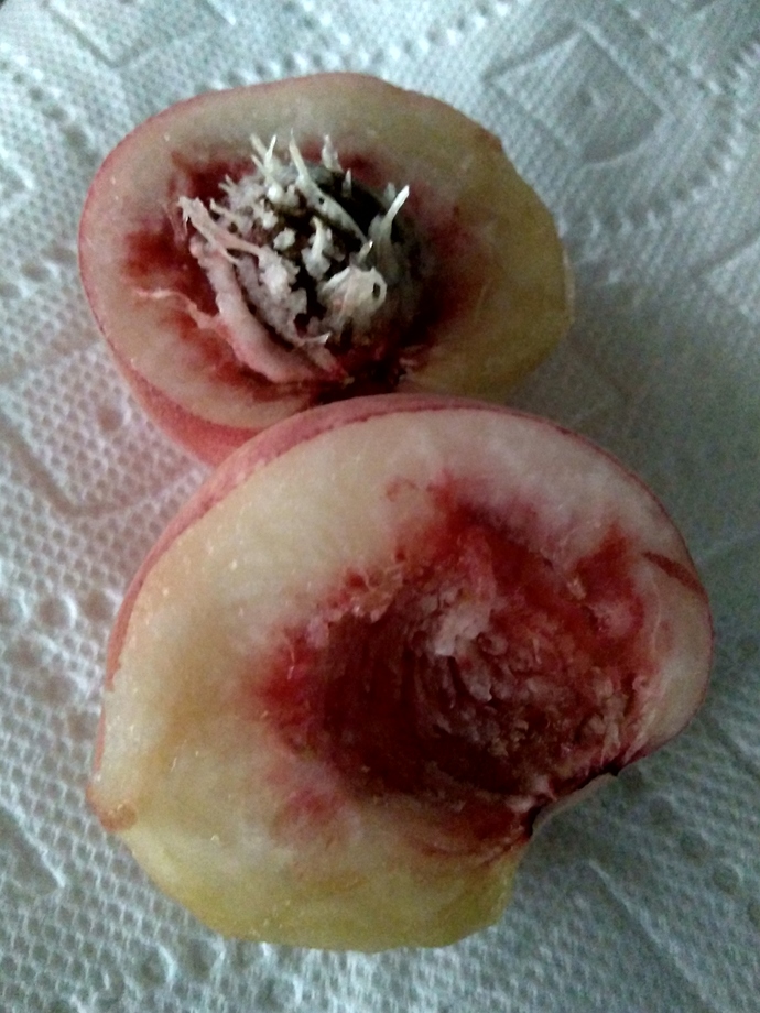 IMG_20200907_185042539_HDR