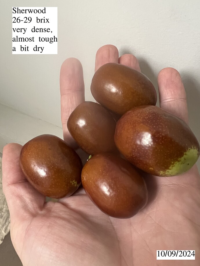 Sherwood_w_10-09-2024