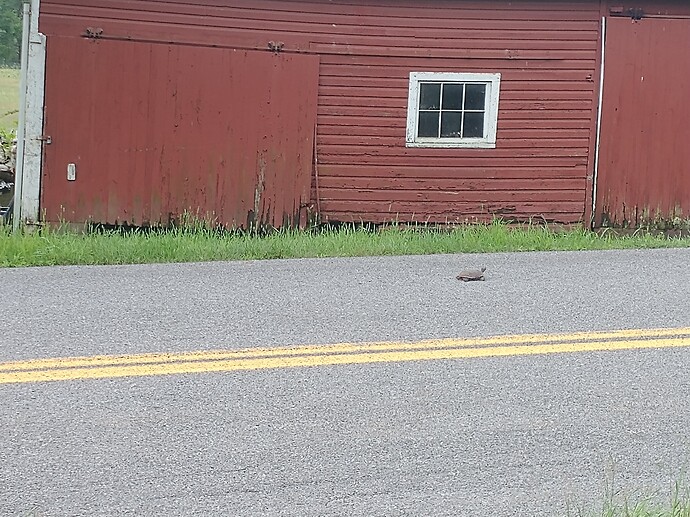 IMG_20230703_100048506