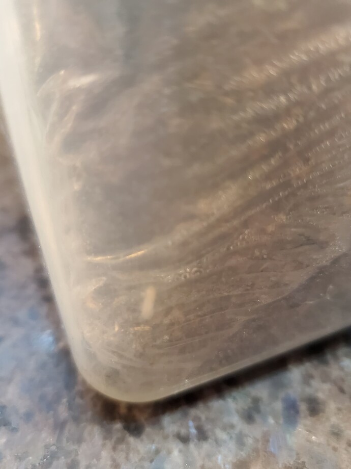20250331_094216