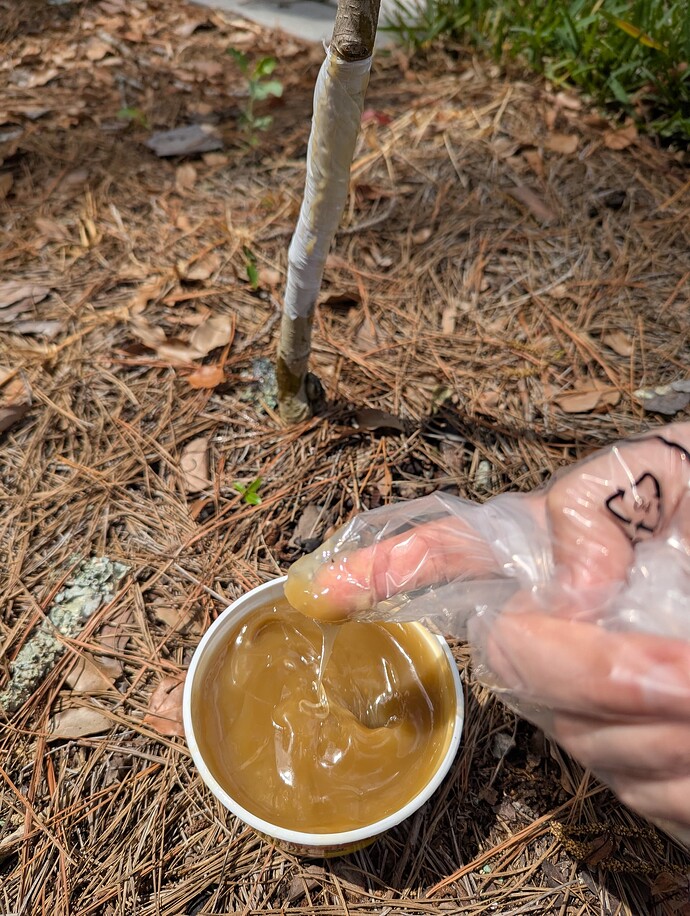 PXL_20250514_154857090