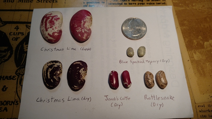 IMG_20161013_193735174