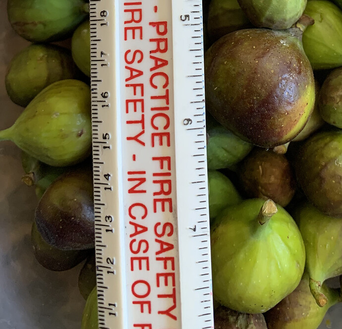 Fig2-1