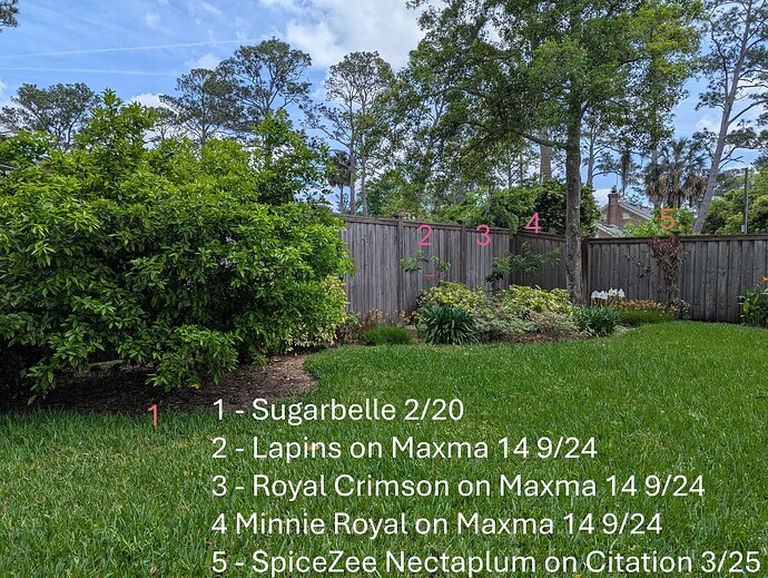 PXL_20250404_170527295