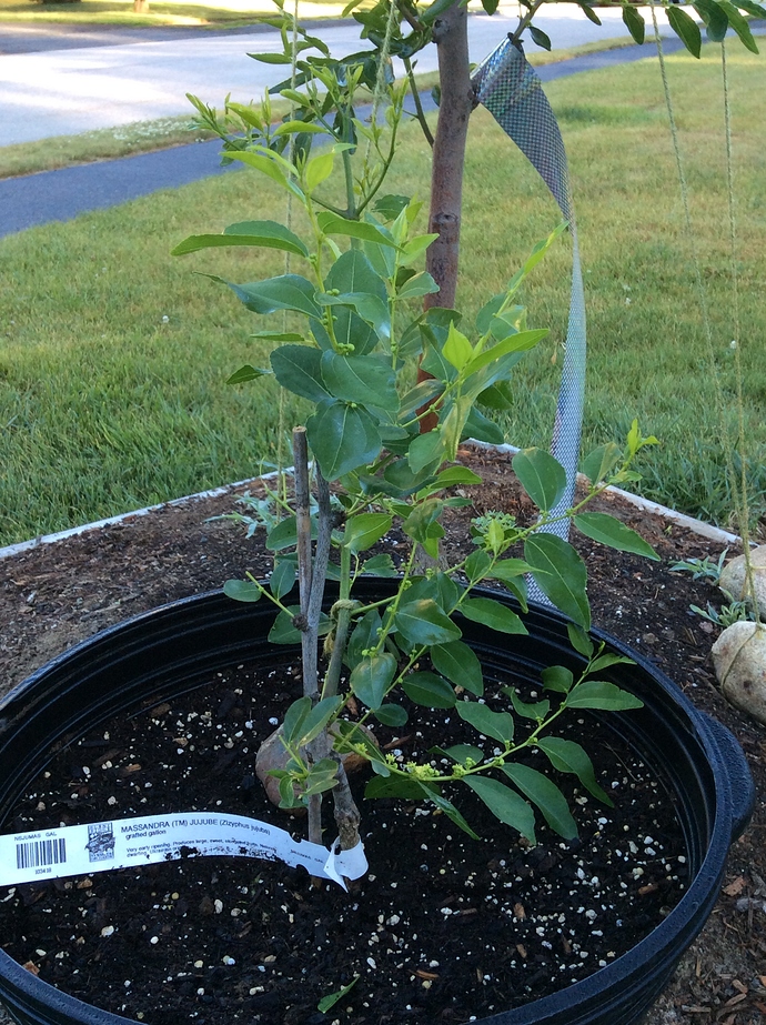 4DE57A4C-B772-49CB-B5A7-C7218AD3E54E