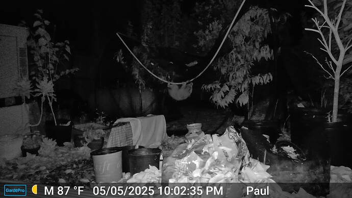 385CFB609E60_20250505220235_1039_o