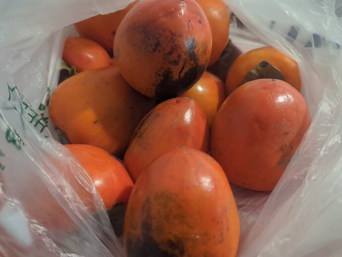 17009290298111374206688629435911