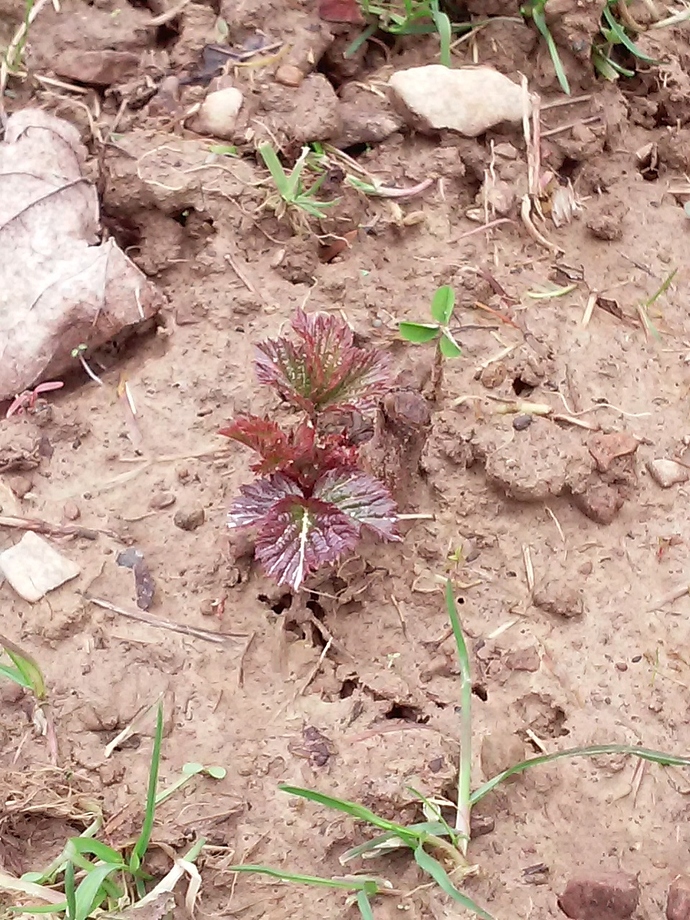20180401_175558