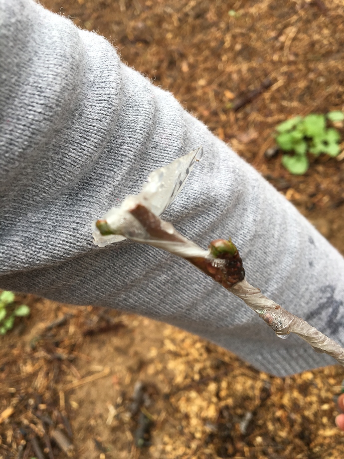 59D6CEB2-36F0-4460-BA6A-23F08B1C3177