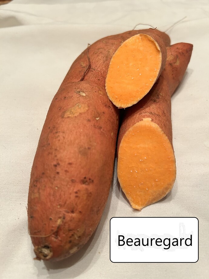 Beauregard