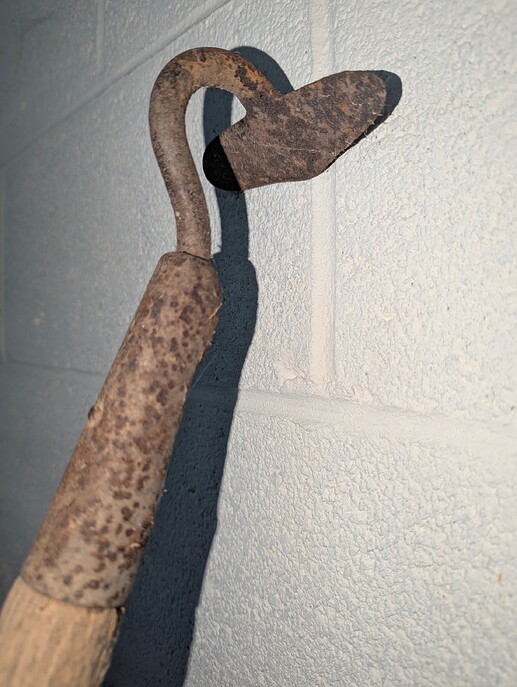 PXL_20250501_191627235