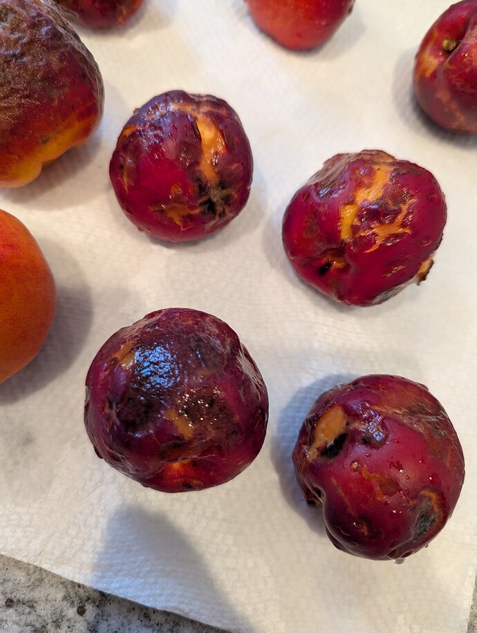 PXL_20250513_235351946