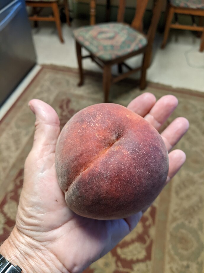 PXL_20220819_233805052