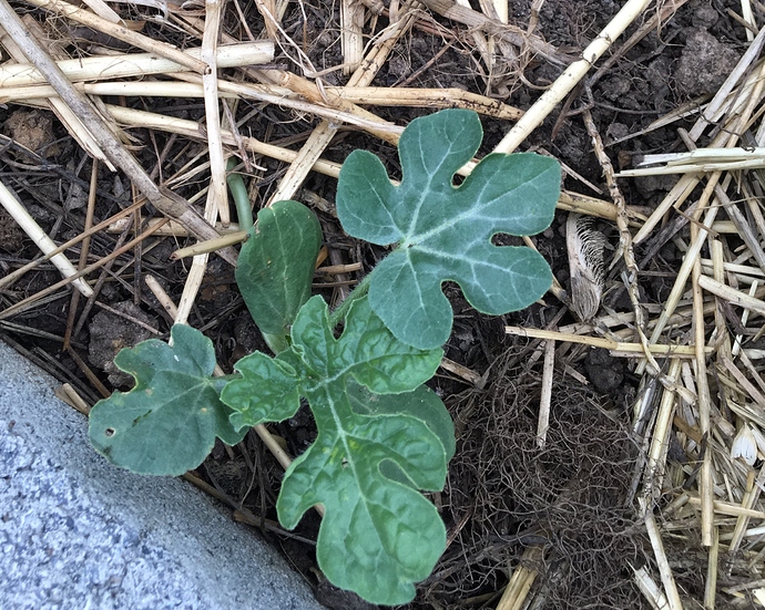 DB6A128A-D543-4E62-97C3-84D12EAF21DB