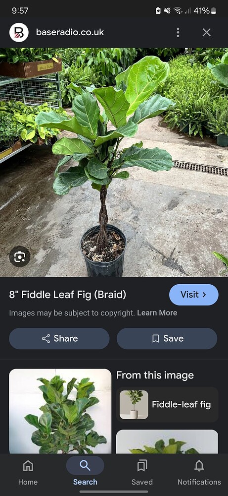 Screenshot_20250221_215713_Google