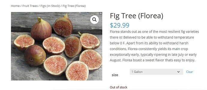 Screenshot 05-05-2025 10.48.47