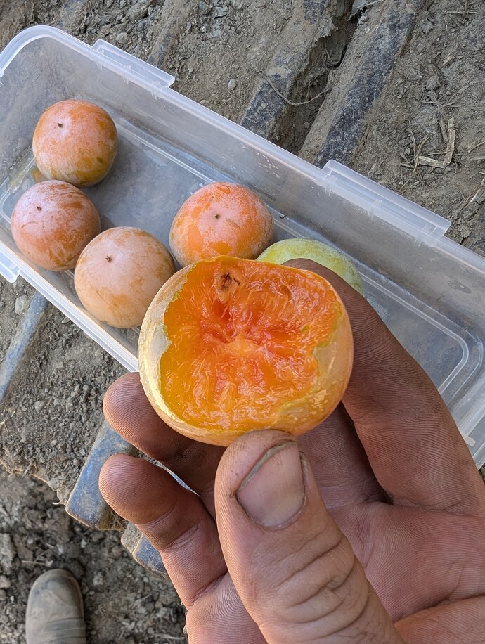 PXL_20240823_172152499