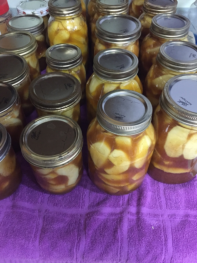 38221C18-B7F1-4855-9FBD-DFC5F4EF5A86