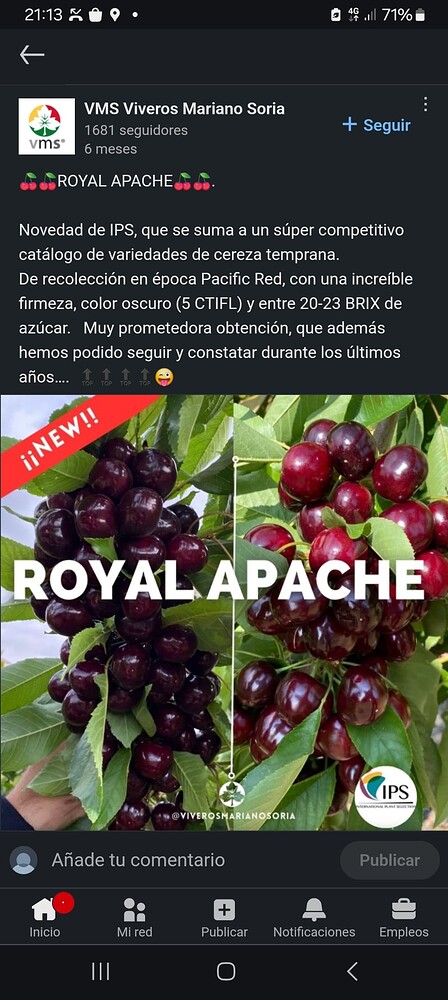 Screenshot_20240424_211309_Chrome