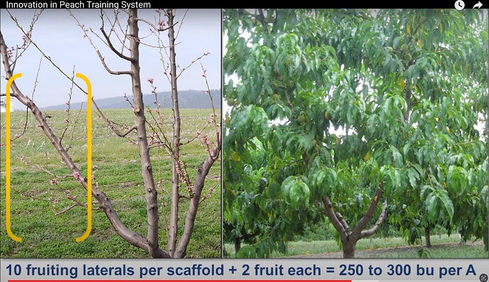 Image 2-23-24 at 7.26 PM