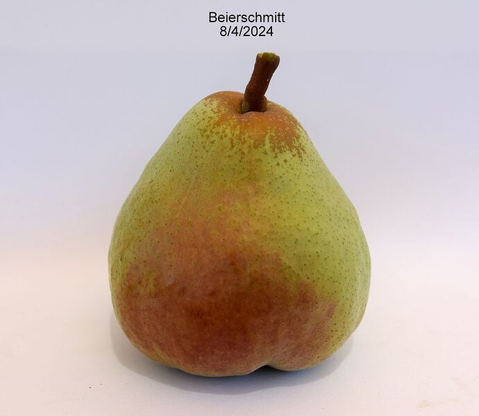 Beierschmitt8-2-2024#2RS