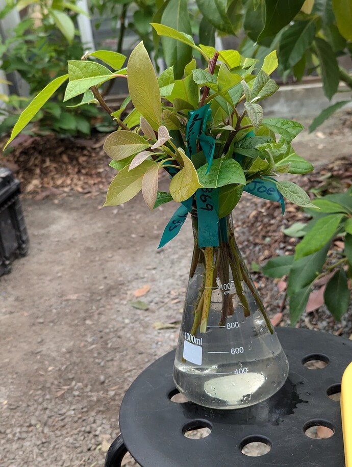 PXL_20240729_220640175