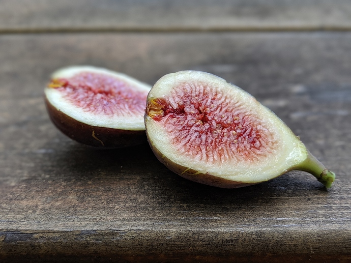 00100lPORTRAIT_00100_BURST20190831115433705_COVER