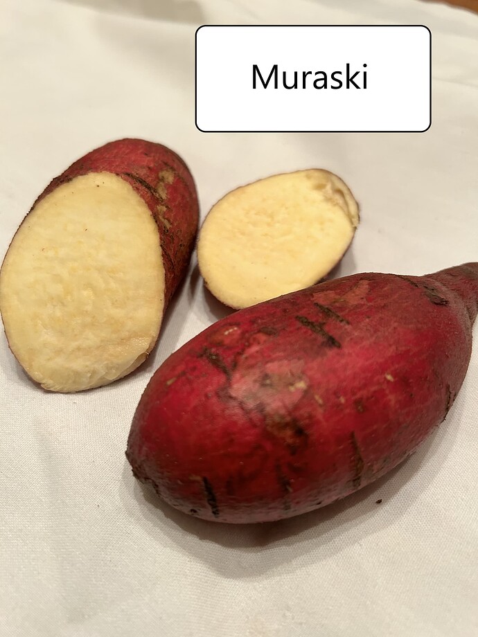 Muraski
